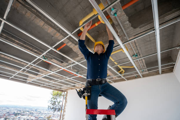 Best Clogged Drain Plumber  in Pinconning, MI